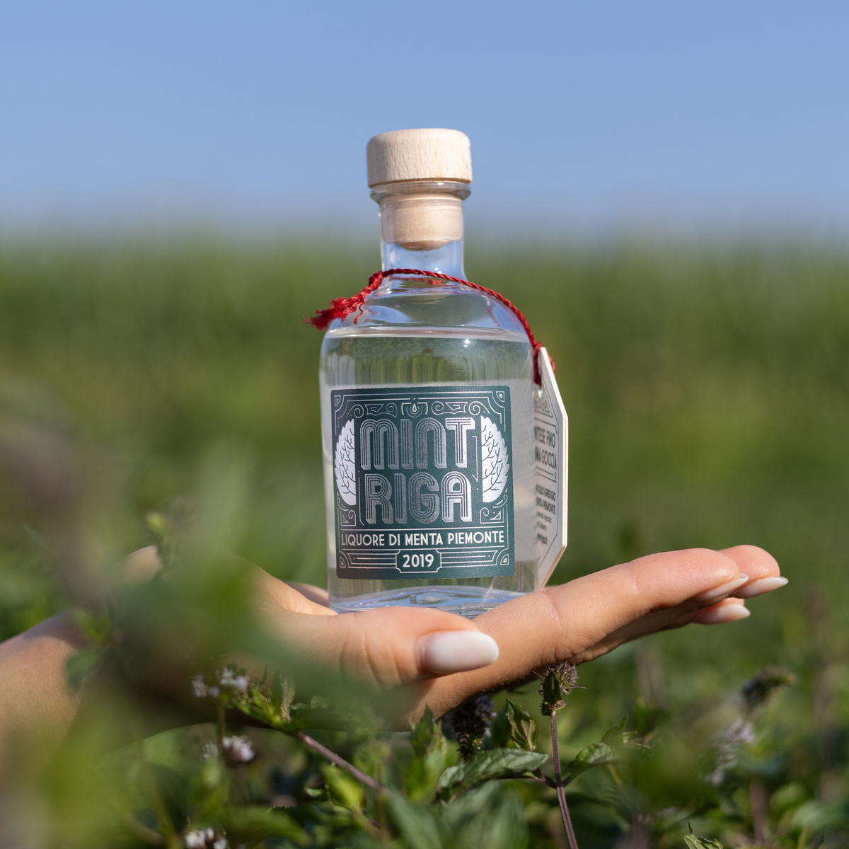 03) Mintriga Liquore 10 cl