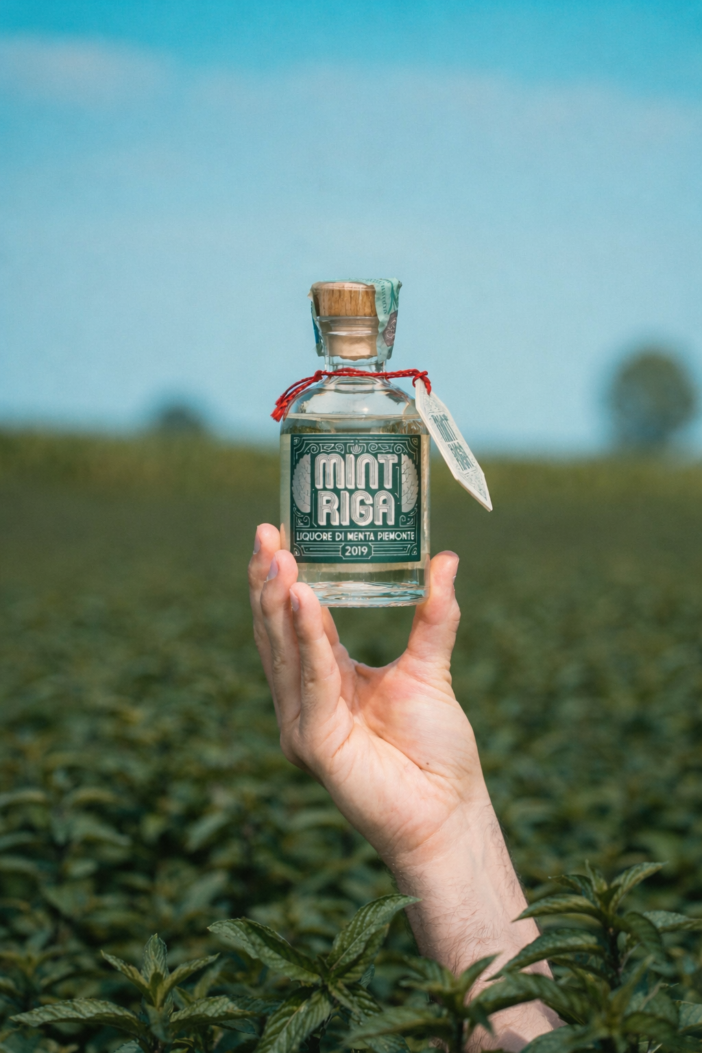 03) Mintriga Liquore 10 cl