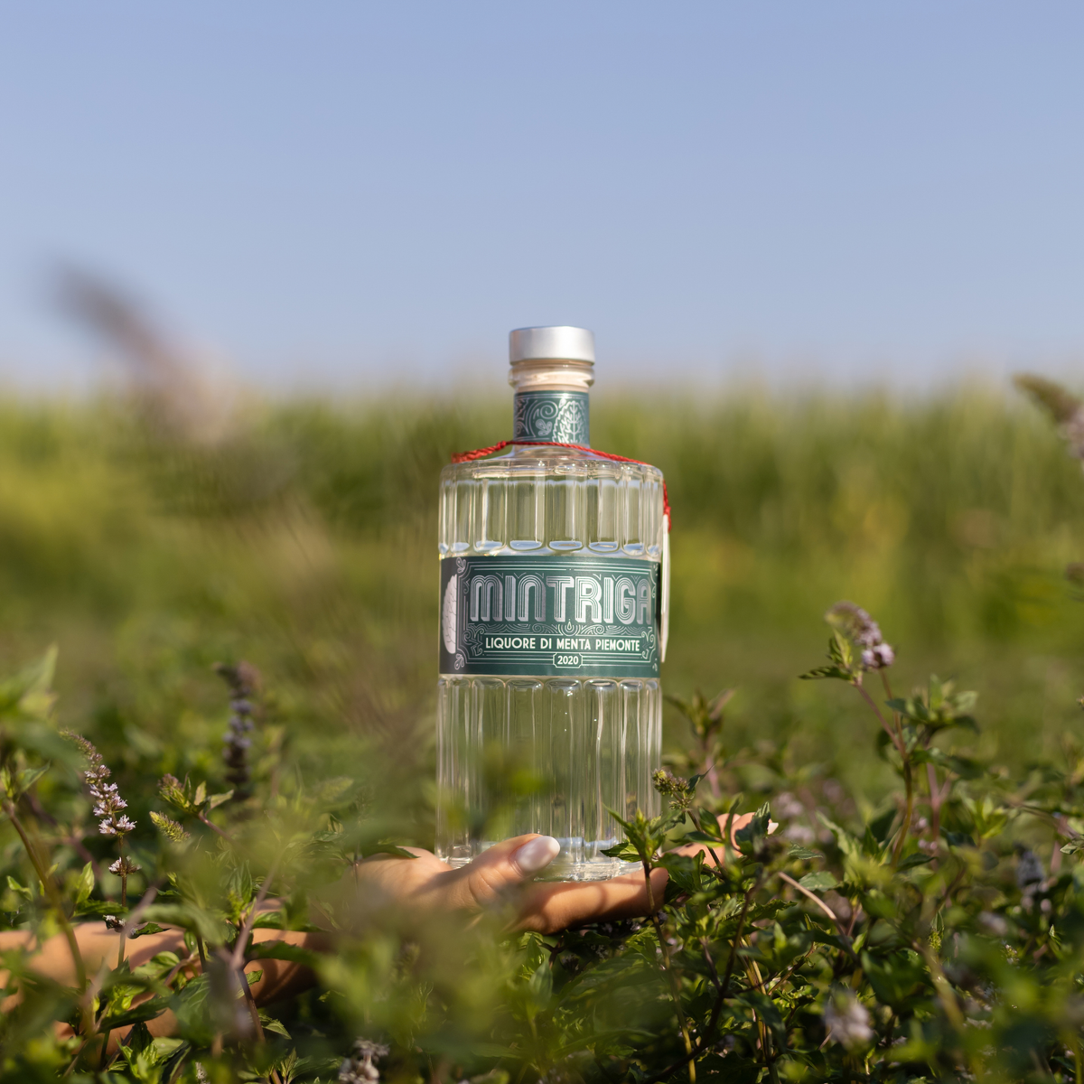 01) Mintriga Liquore 70 cl