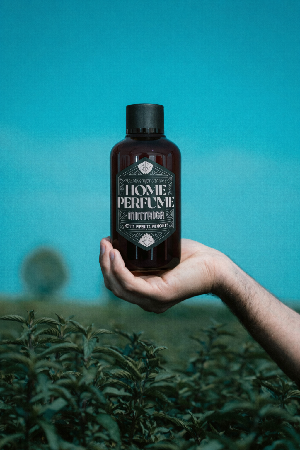 06) Mintriga Home Perfume 25 cl - ricarica